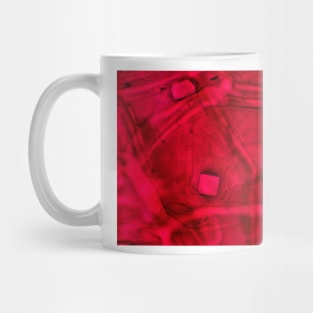 Red onion skin with oxalate crystals under the microscope Mug